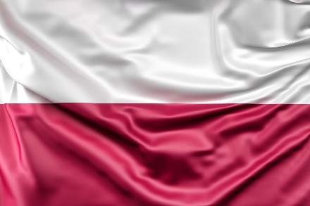Растаможка товаров из Польши