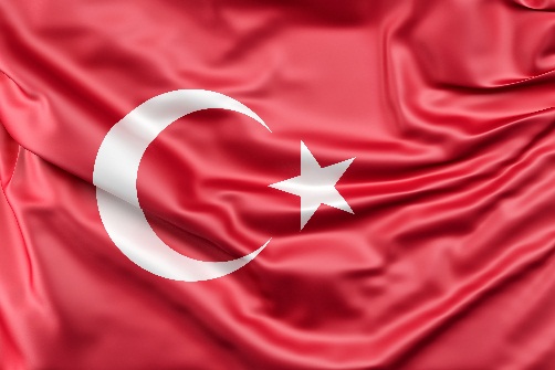 Растаможка товаров из Турции